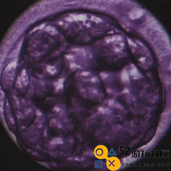 《使命召唤21》僵尸模式新预告:神秘监狱岛屿或将成为新地图?