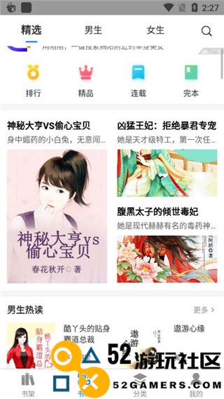 皮皮小说正式版