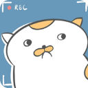 网友和猫的故事游戏无限金币版