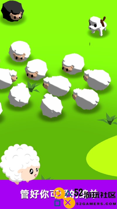 萌犬赶羊益智3D