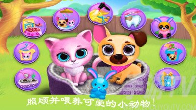 迷你城市猫狗乐园