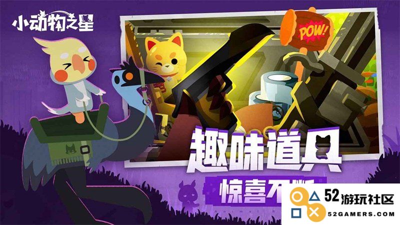 小动物之星