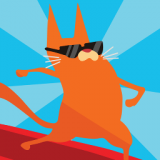 可爱的猫咪们在遨游海浪之中享受冲浪带来的乐趣与刺激