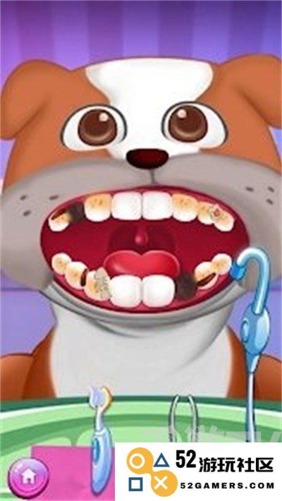 小小动物牙医