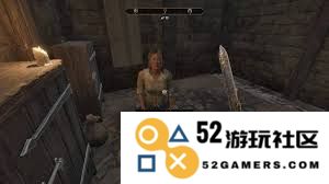 如何解锁上古卷轴4重制版中英雄竞技场的所有成就与挑战指南
