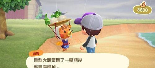 《动物之森》游戏爱的结晶——如何获得游戏中的特殊物品（游戏攻略，抢先收集！）
