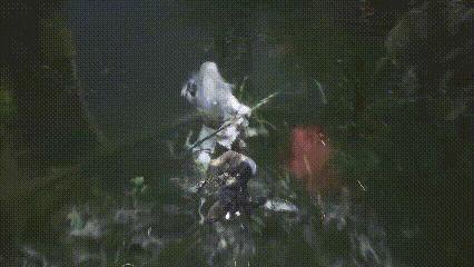 《黑神话：悟空》全boss打法详解教程全头目妖王位置及打法