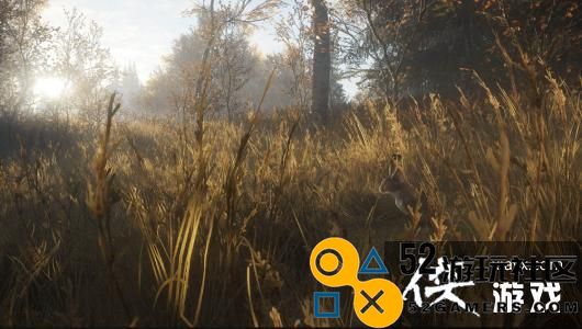 Epic喜加二：《猎人：野性的呼唤》《遗忘国度之闲置冠军》免费