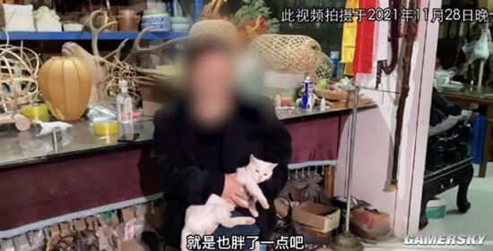 21年间“虐猫”事件热搜狂潮于正新剧《当家主母》曝小白猫案件细节