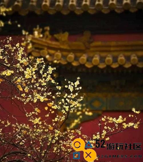 《一小时人生铁匠》必备攻略与技巧分享（助你成为铁匠大师的秘籍）