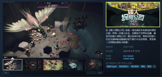 《矮人探险公司》Steam用户价格详解与购买建议
