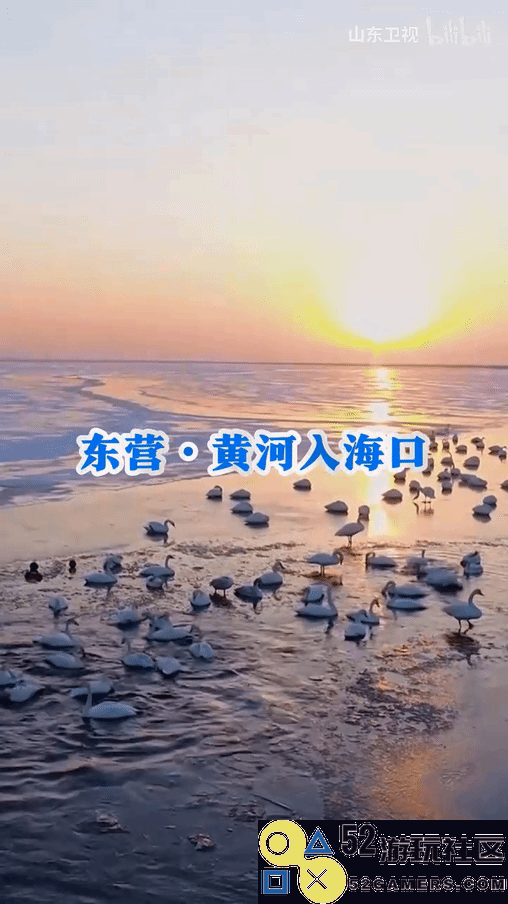 山东卫视《鸣潮》七夕特别活动：今汐邀请你一同打卡浪漫梦境之地