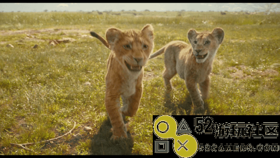 狮子王前传电影《木法沙传奇》正式预告惊艳亮相！定档12月20日精彩上映