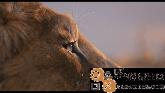 狮子王前传电影《木法沙传奇》正式预告惊艳亮相！定档12月20日精彩上映