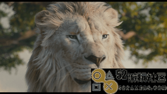 狮子王前传电影《木法沙传奇》正式预告惊艳亮相！定档12月20日精彩上映