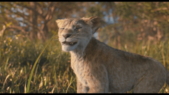 狮子王前传电影《木法沙传奇》正式预告惊艳亮相！定档12月20日精彩上映