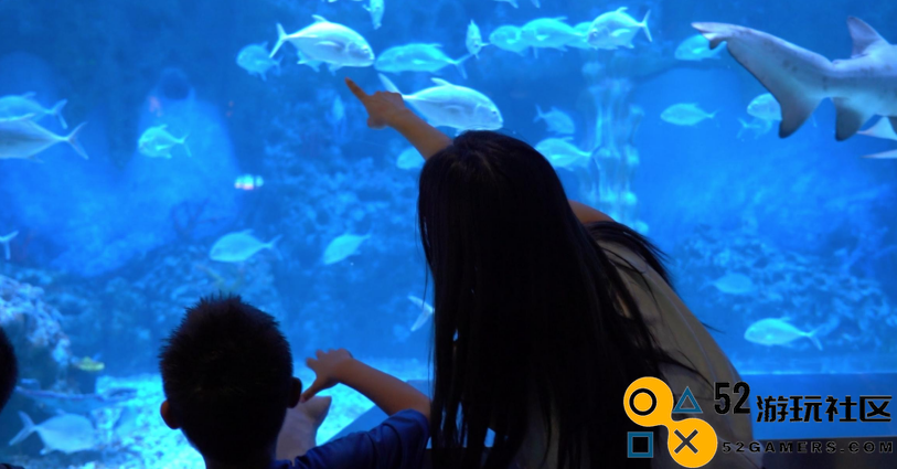 从志愿者到糕点师再到讲解员，斗鱼老湿肖淑洁感慨公益之旅充满温暖与爱心