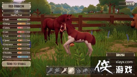 全新养马牧场模拟游戏《TheRanchofRivershine》Steam限时抢测正式开启