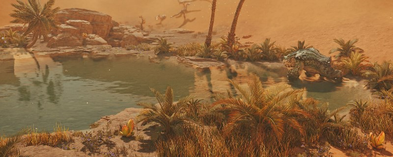 《怪物猎人：荒野》Steam进行第二次测试的具体时间是什么时候呢？