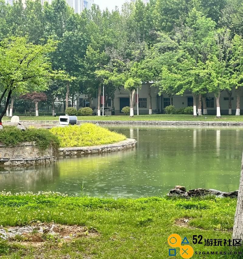 《生存指南手机版全方位攻略（深度解析手机游戏《生存指南》玩法，助您游刃有余应对险恶环境）》