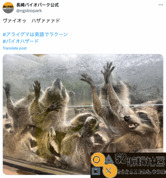 日本动物园发浣熊惊悚照《生化》官方翻牌：太像了