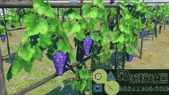 《FF14》新资料片上线后低质建模葡萄依然屹立农田