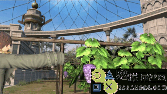 《FF14》新资料片上线后低质建模葡萄依然屹立农田