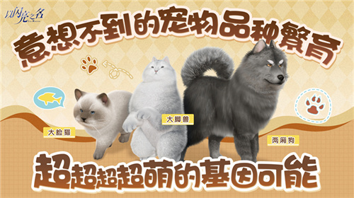 传承与对决！《以闪亮之名》即将与逆水寒展开激烈竞争！