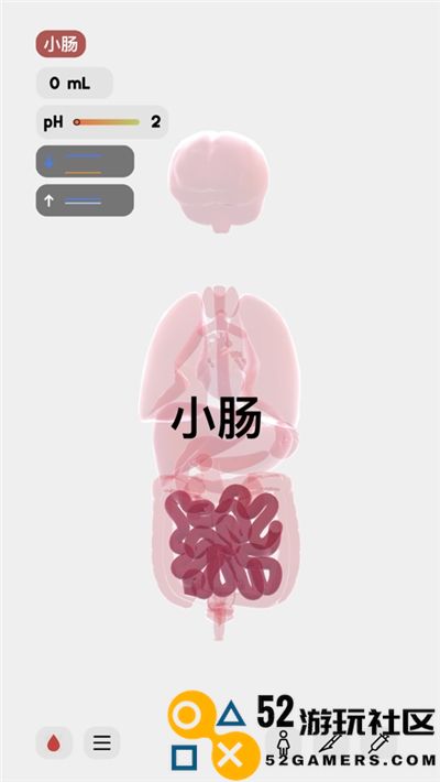 生命模拟器life官服最新版v1.0_生命模拟器life最新绿色版下载