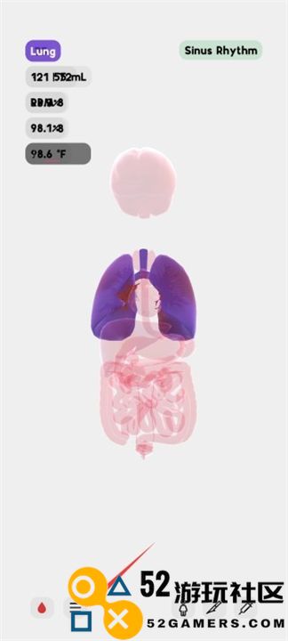 生命模拟器life官服最新版v1.0_生命模拟器life最新绿色版下载