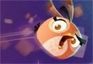 愤怒的小鸟思黛拉游戏安卓最新版_愤怒的小鸟思黛拉无限金币版下载