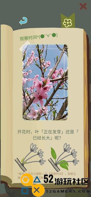 老农种树游戏安卓免广告_老农种树内置菜单最新版下载