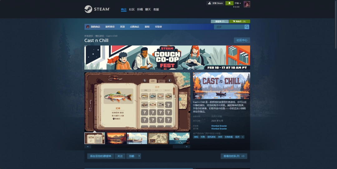 《CastnChill》详细下载安装步骤与使用指南
