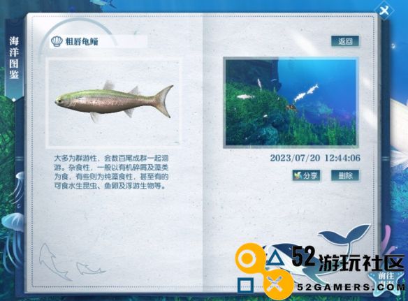 逆水寒粗唇电鲻的具体位置和捕捉方法解析