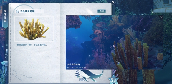 逆水寒多孔鹿角珊瑚具体位置在哪里_逆水寒多孔鹿角珊瑚详细获得途径解析