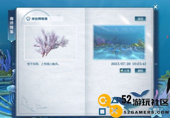 逆水寒游戏中网枝柳珊瑚具体位置详解与寻找攻略