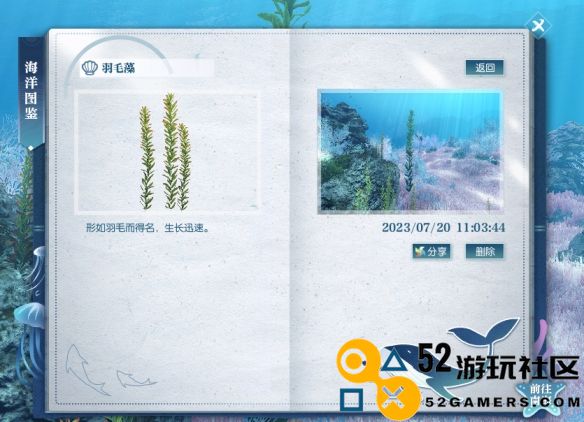 逆水寒羽毛藻的具体位置及获取方法大全