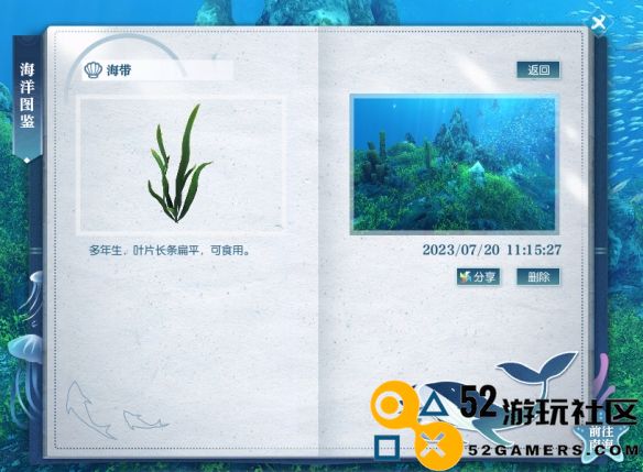 逆水寒海带具体位置在哪里_逆水寒海带的详细获取攻略