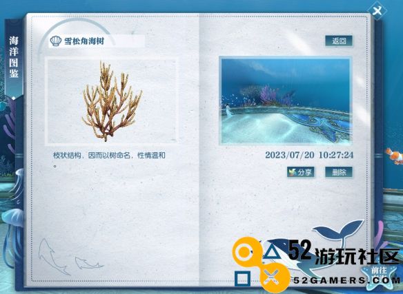 逆水寒雪松角海树具体位置解析_探寻逆水寒中雪松角海树的所在之处