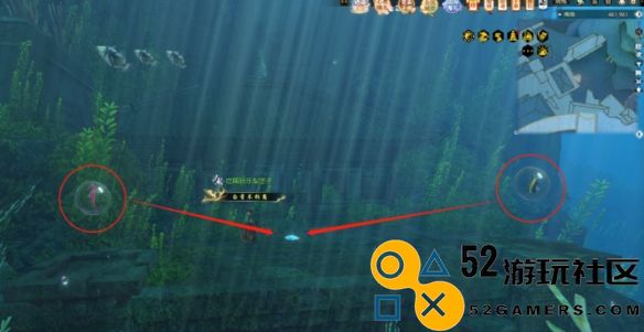 逆水寒海藻之森具体位置揭秘_探索逆水寒海藻之森的隐藏所在