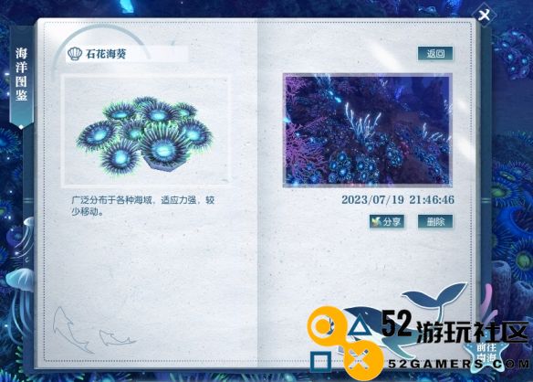 逆水寒游戏中石花葵海具体位置解析—探秘逆水寒石花葵海在哪儿