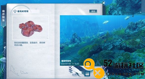 逆水寒中如何寻找葡萄蓟珊瑚的具体位置和获取方式