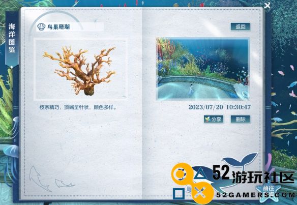逆水寒鸟巢珊瑚详细位置解析_教你如何快速找到逆水寒鸟巢中的珊瑚