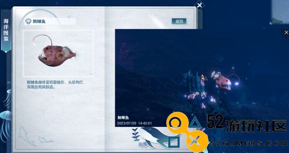 逆水寒鮟鱇鱼捕捞秘籍_如何找到逆水寒中的鲜美鮟鱇鱼位置