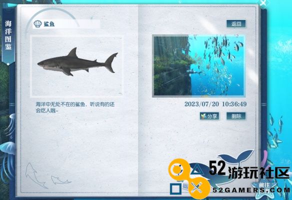 逆水寒游戏中鲨鱼的具体位置在哪里以及捕捞攻略