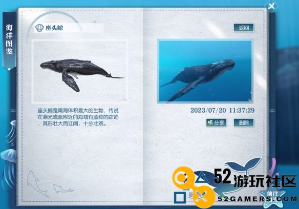 逆水寒中座头鲸具体位置解析及寻找攻略
