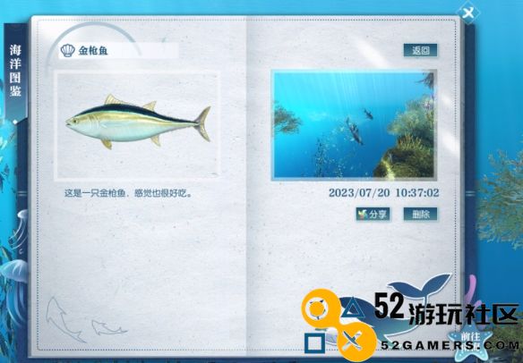 逆水寒金枪鱼具体位置解析_在游戏中如何找到逆水寒金枪鱼