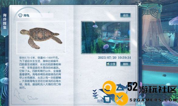 逆水寒中海龟的具体位置探寻与相关信息介绍