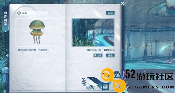 逆水寒中的水母位置详解_如何找到逆水寒水母