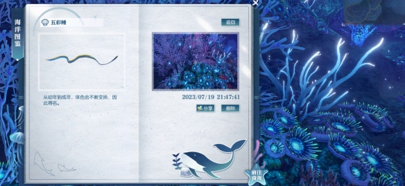 逆水寒五彩鳗具体位置探寻_逆水寒五彩鳗在哪里捕捉